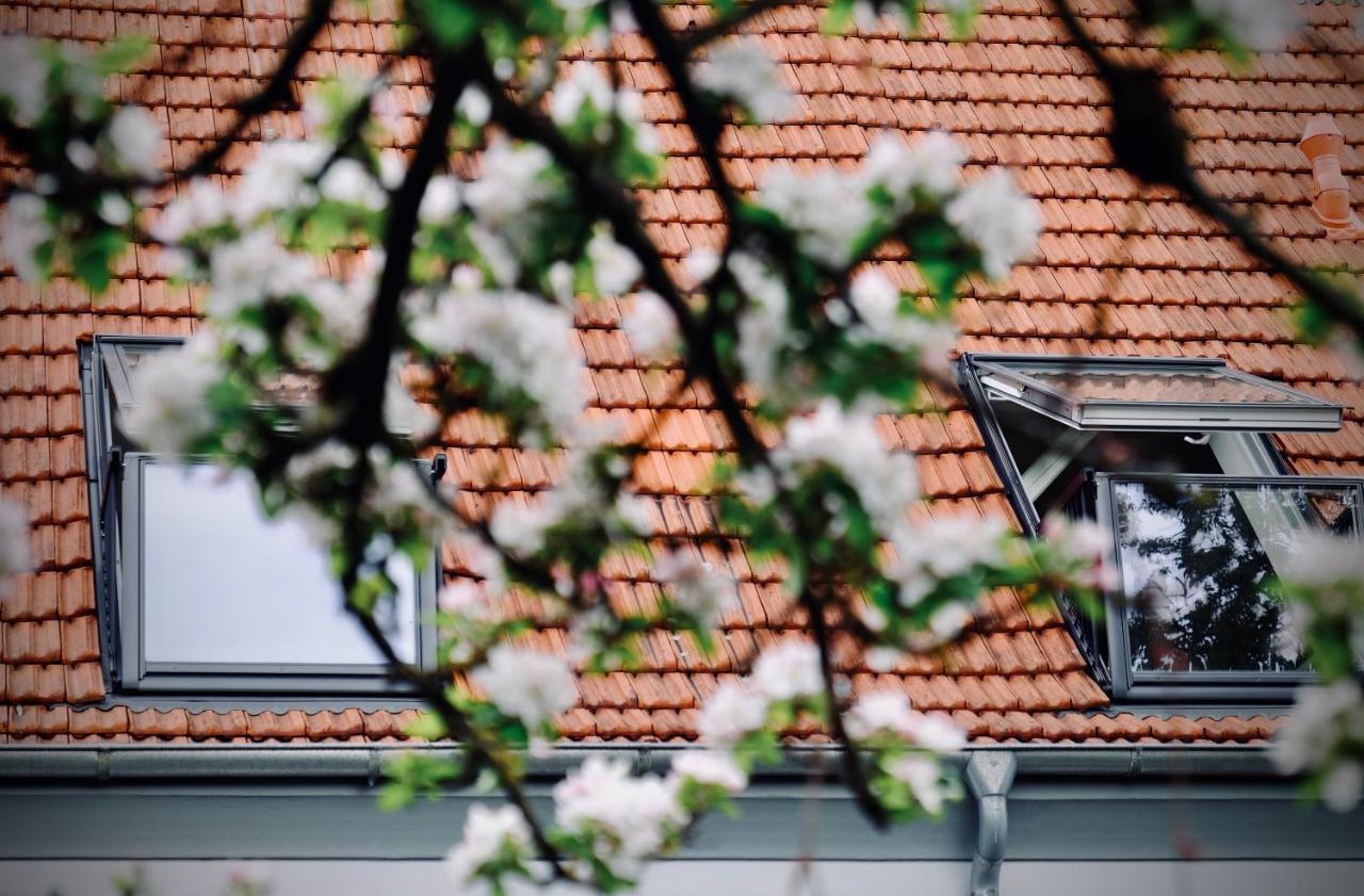 Loewenherz Appartements Bad Bentheim Exteriör bild